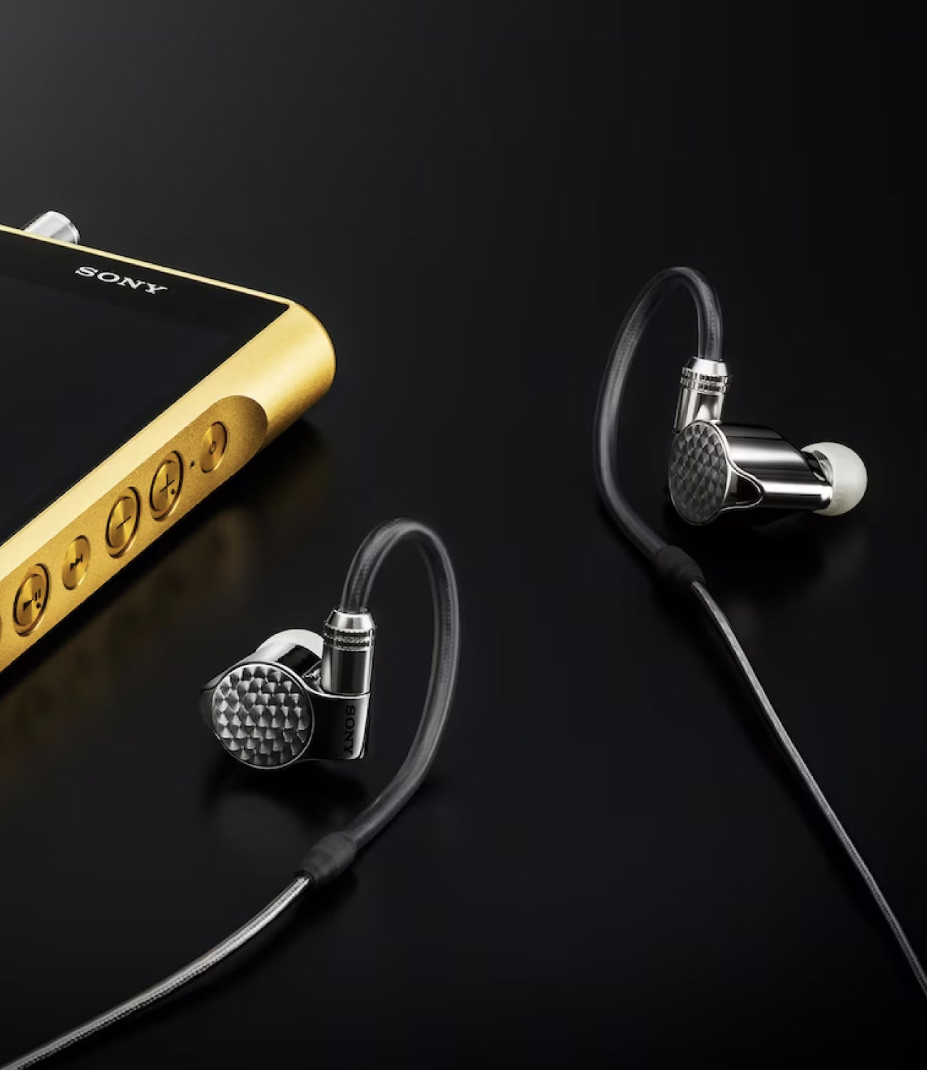 Sony IER-Z1R Signature Series In-Ear Earphones