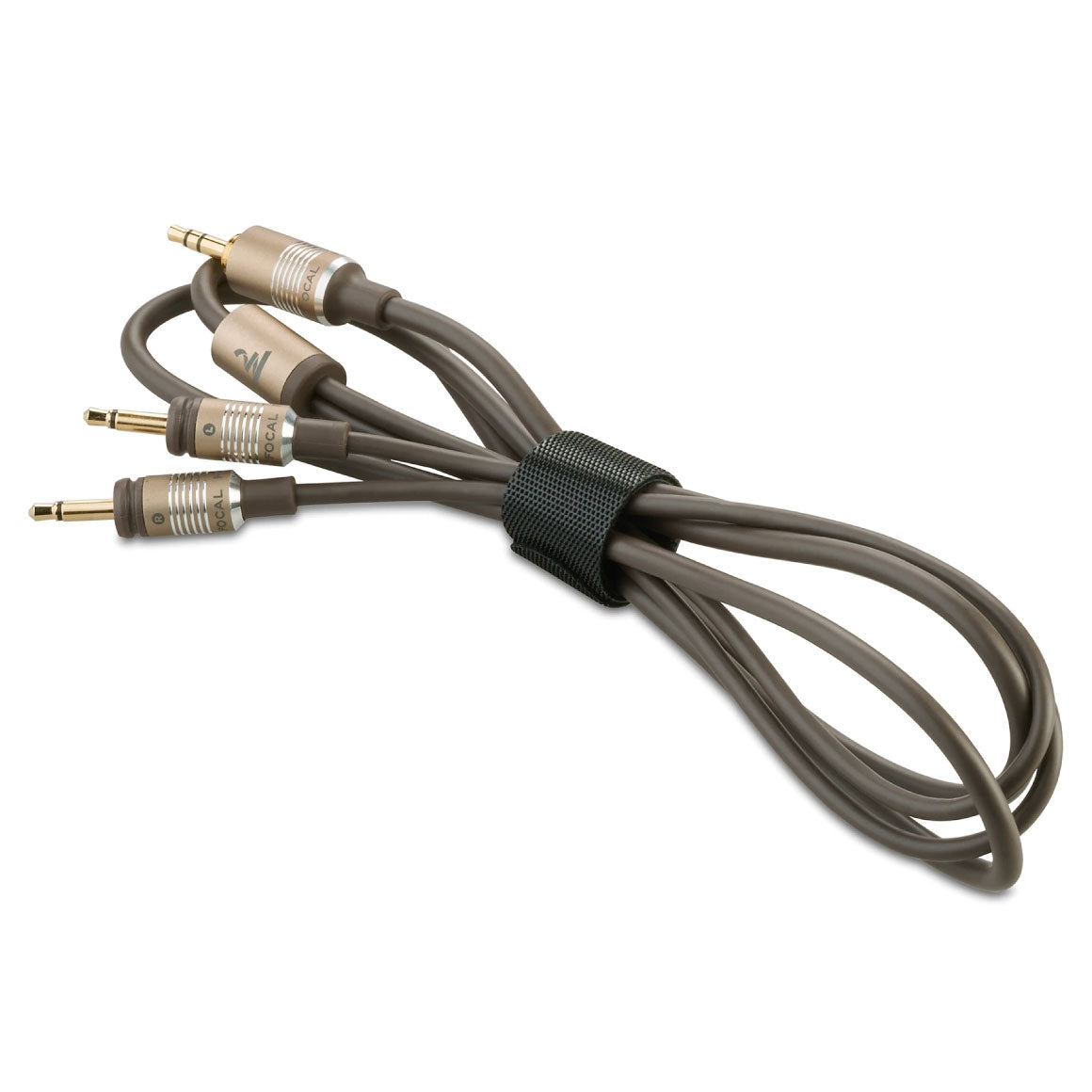 Focal clear xlr cable new arrivals